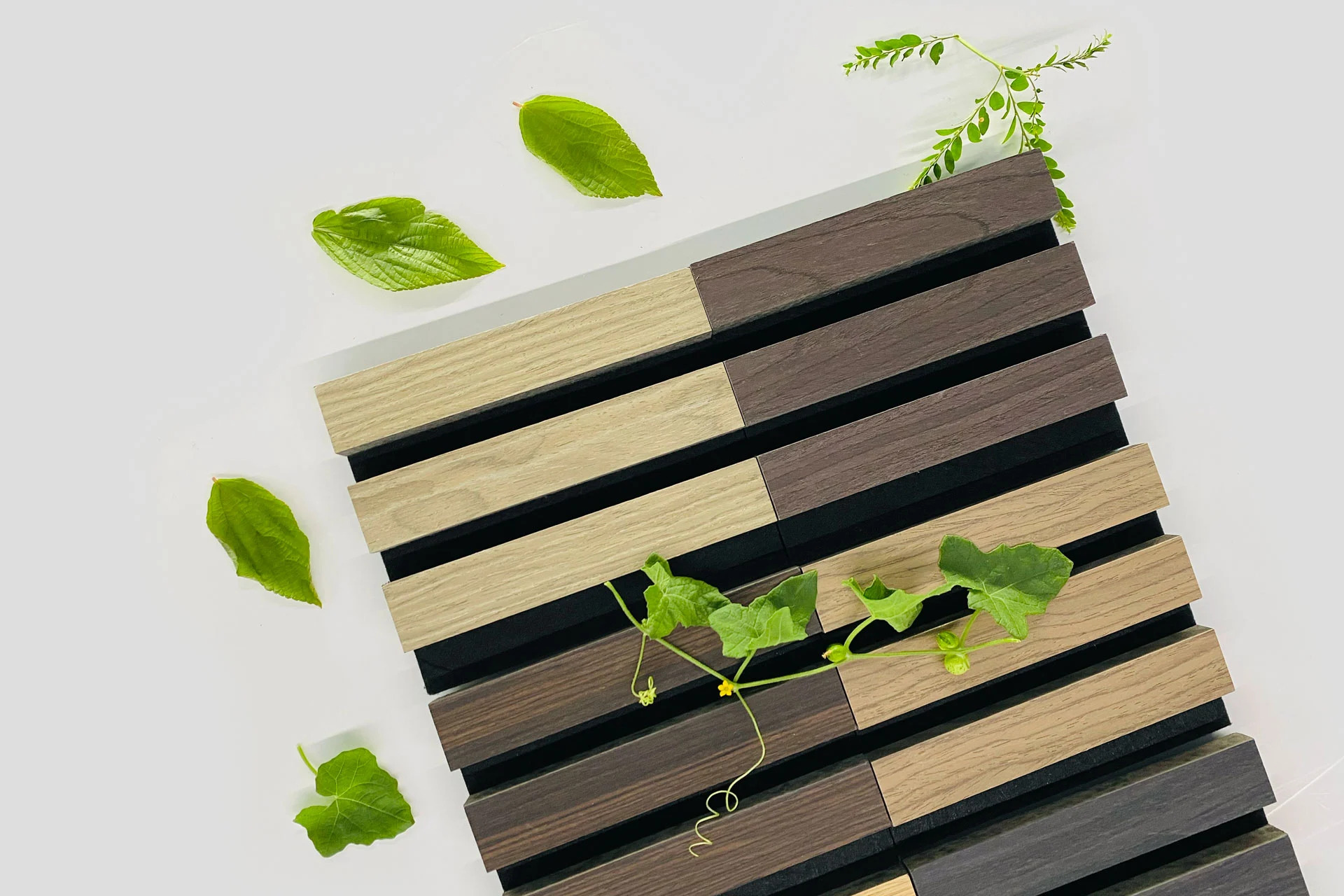 Rectangular wooden slats, half light and half dark, are arranged in parallel rows on a white surface. Green leaves and small vines are scattered around and on top of the slats.